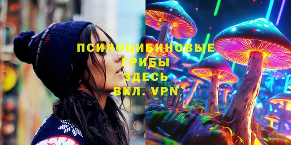 ECSTASY Вязьма
